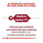 Royal Canin Medium 10+ Ageing pienso para perros, , large image number null